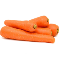 Best Price Carrots For Wholesale Export Chinese Natural Fresh Carrots
